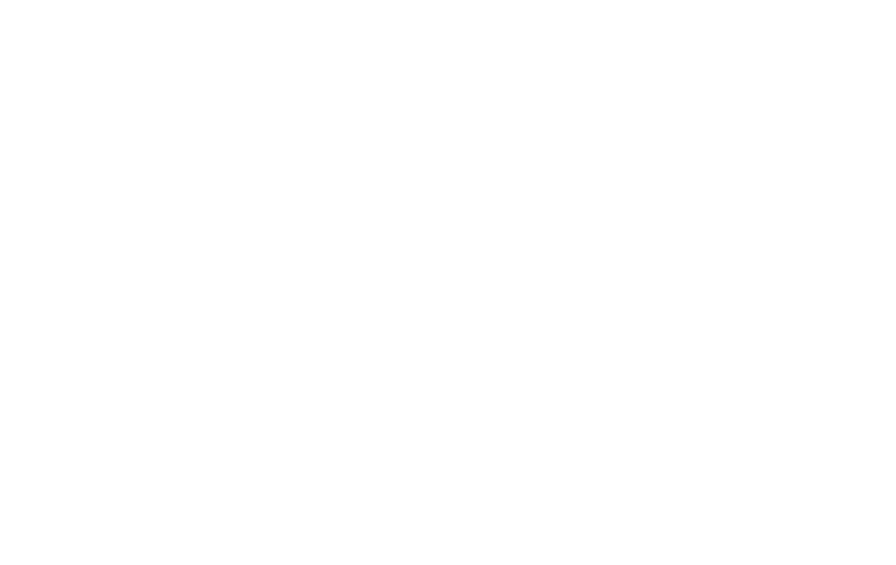 Morada Dogs